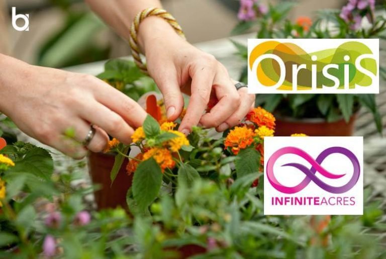 Orisis Joins Infinite Acres