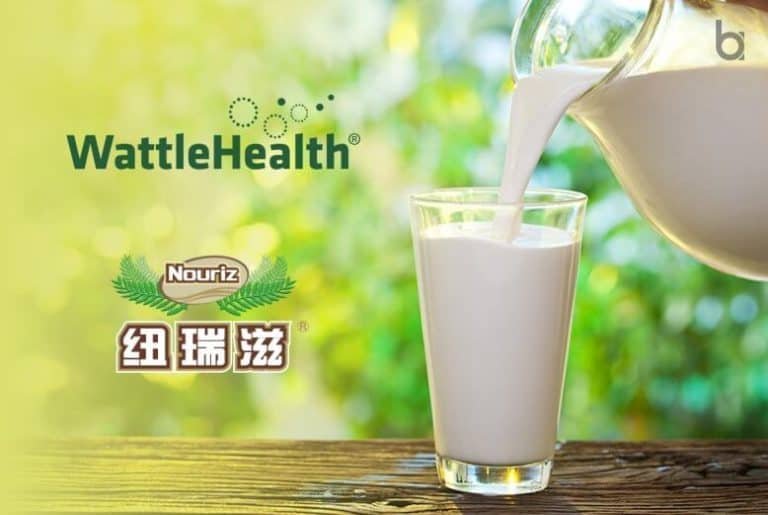 Wattle Health