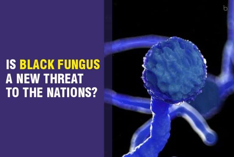 Black fungus