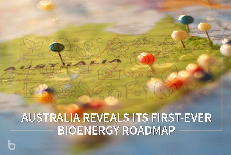 Bioenergy Roadmap