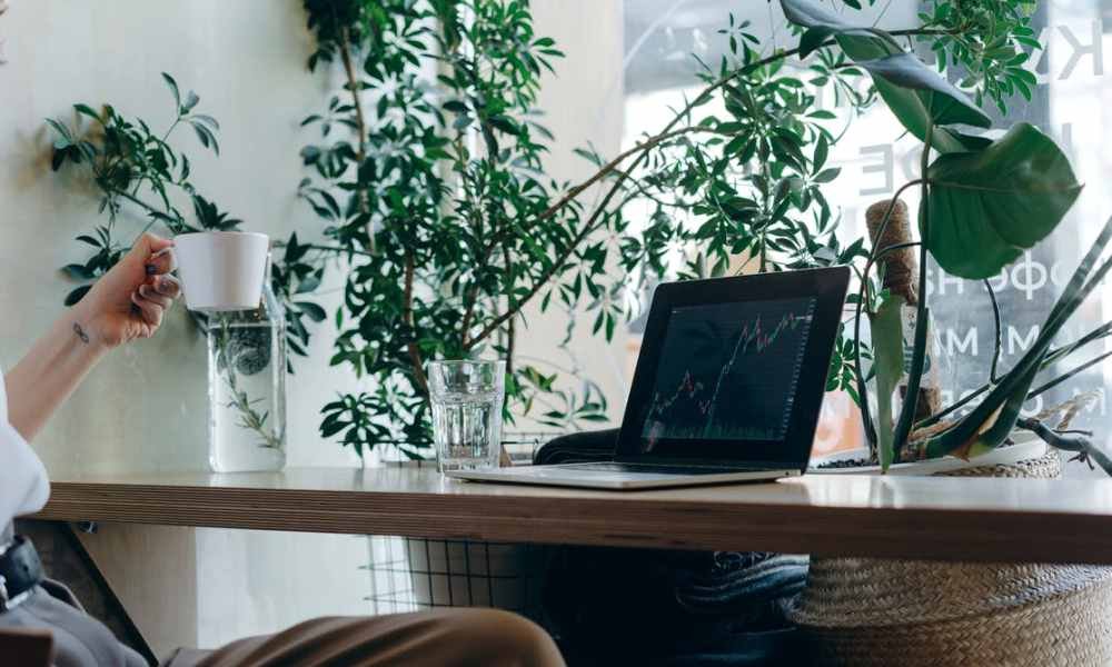 Foreign-Owned Business Setup Your 100% Foreign-Owned Business