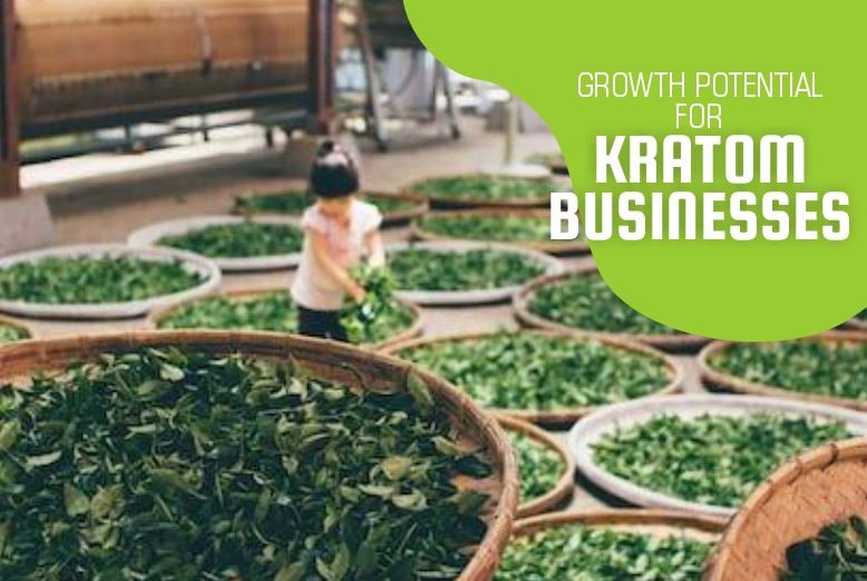 growth-potential-for-kratom-businesses