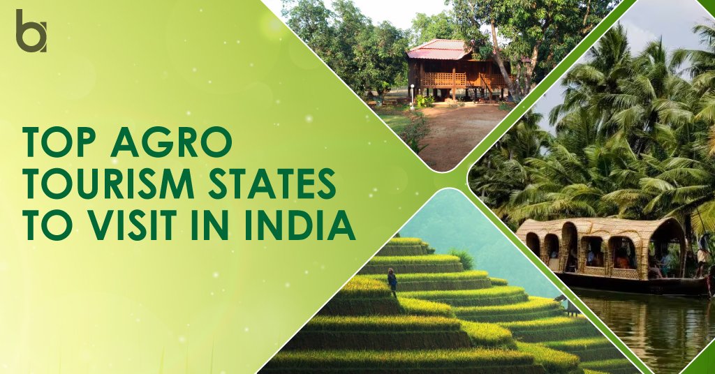 Top-Agro-Tourism-States-to-Visit-in-India