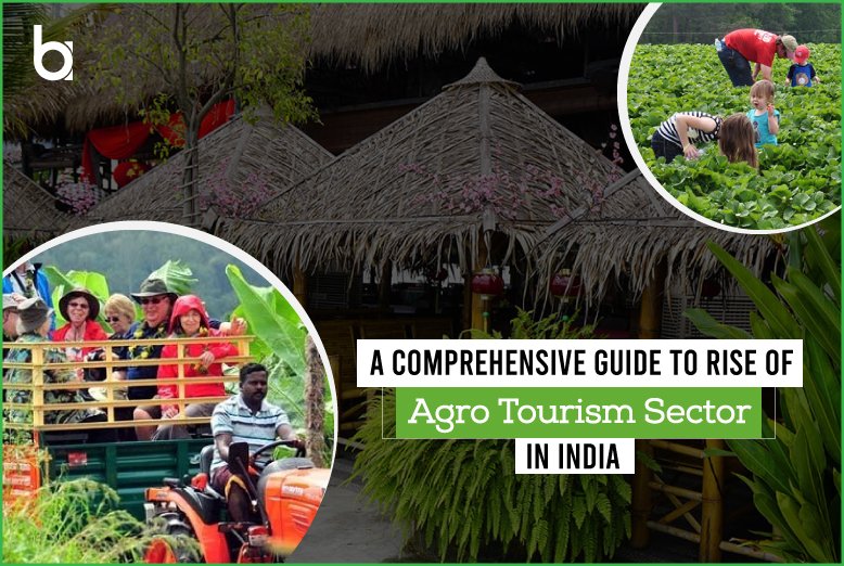 agro tourism project report in maharashtra