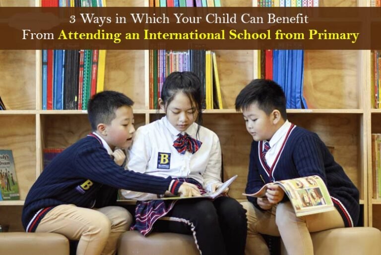 International School