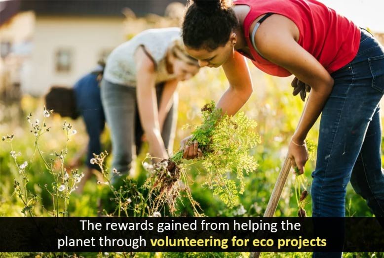 volunteering for eco projects