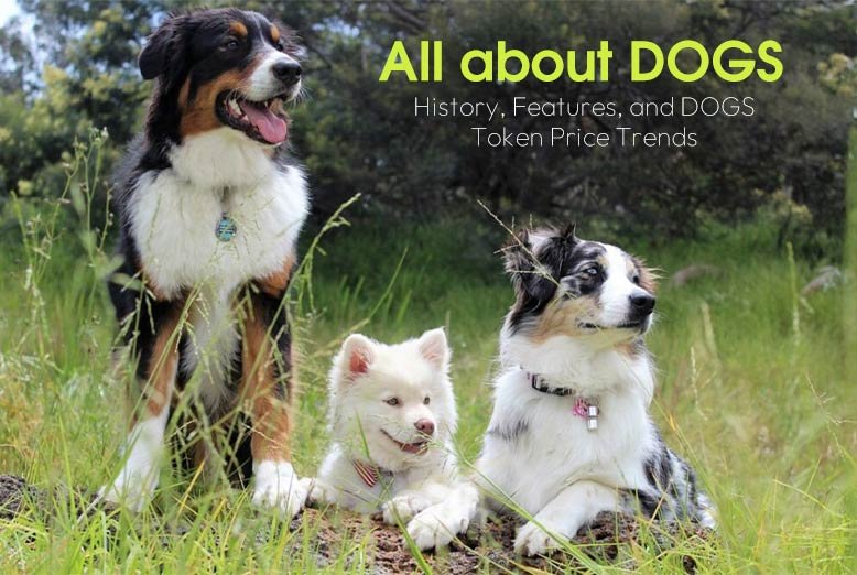 DOGS Token