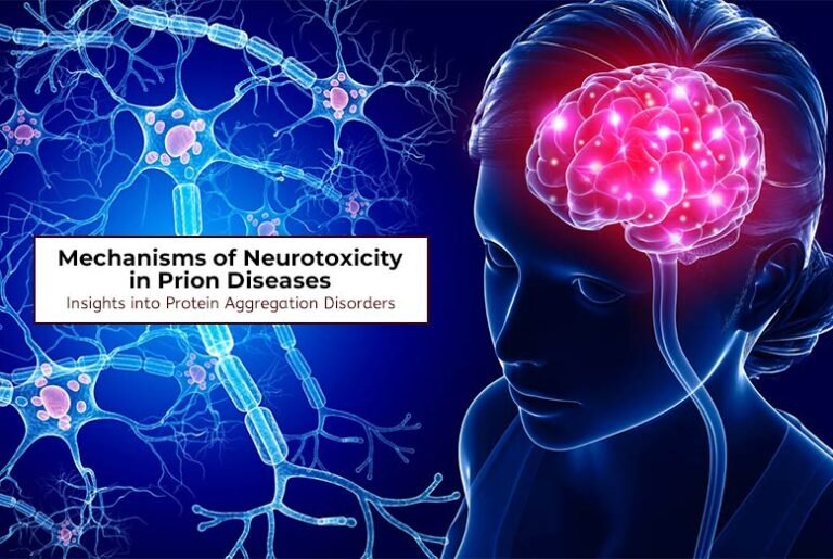 Neurotoxicity in Prion Diseases