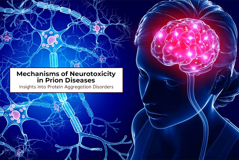 Neurotoxicity in Prion Diseases