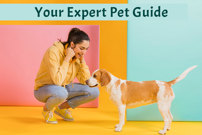 PETS TEETH CLEAN AND HEALTHY