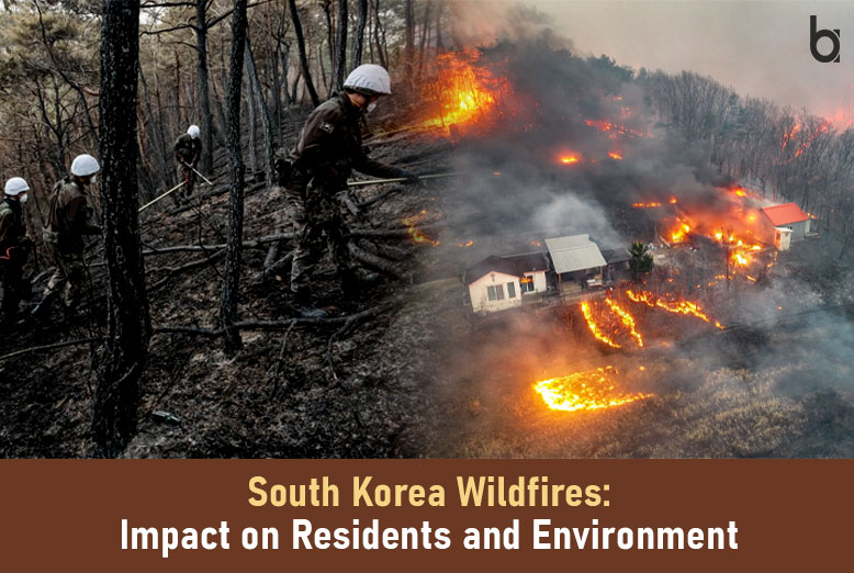 South Korea Wildfires