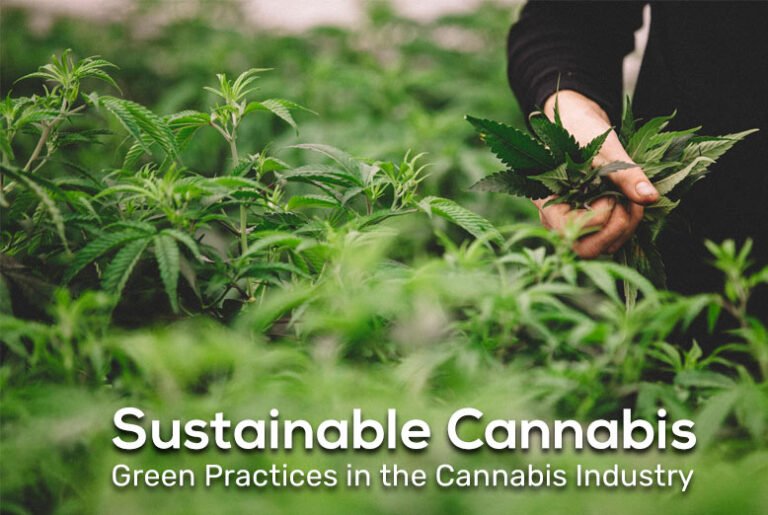 Sustainable Cannabis