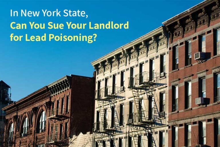 Landlord for Lead Poisoning