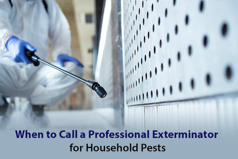 Household Pests